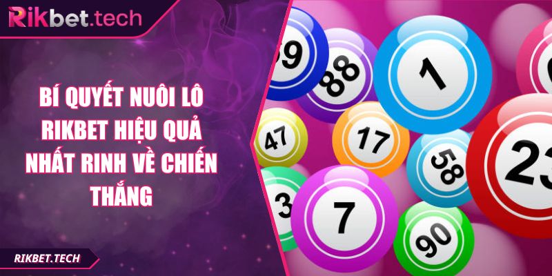 Bí quyết nuôi lô RIKBET